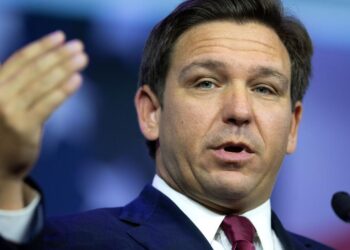 Adam Kinzinger Berates Gov DeSantis for Rescuing 270 Floridians: “You Can’t Do That”