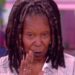 Whoopi Goldberg Loses Her Mind After Kamala Harris Gets Called a ‘DEI Hire’ Live on CNN