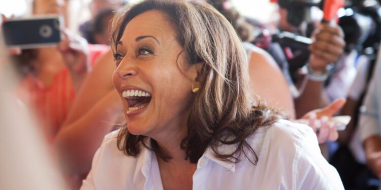 CNBC Hosts Mock Kamala Advisor’s Proposal for $5 Trillion in New Taxes [VIDEO]