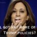 Kamala Harris Caught Using Trump’s Border Wall in TV Ad, Social Media Replies Are Savage