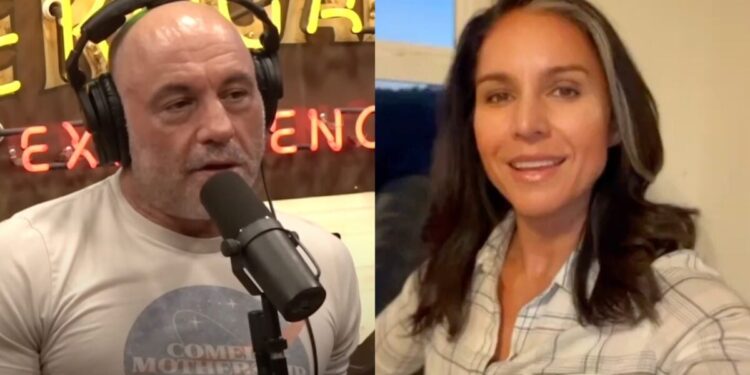 Tulsi Gabbard Exposes MSNBC’s Deceptive Editing to Fabricate Joe Rogan’s Support for Kamala