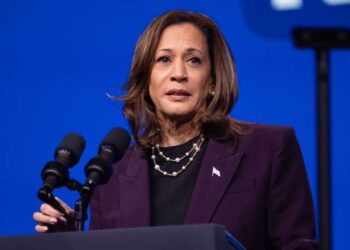 Harris Defender Struggles to Answer Basic Questions About Harris’ Economic Plan