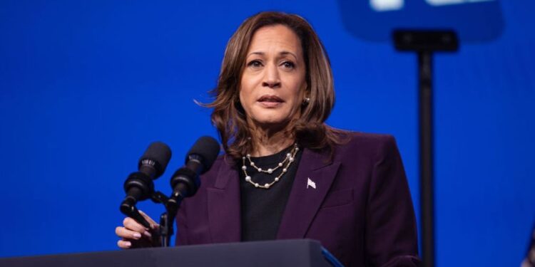 Harris Defender Struggles to Answer Basic Questions About Harris’ Economic Plan